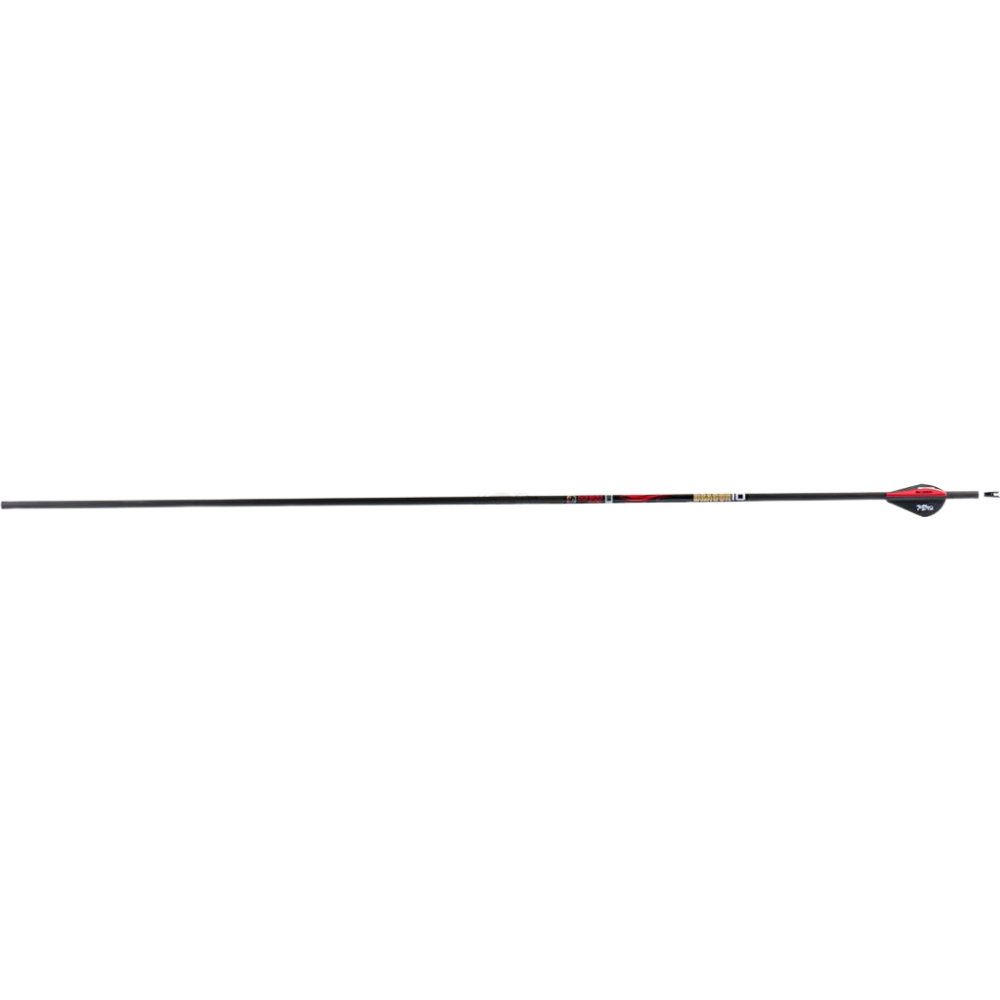 Sanlida Dragon 10 Carbon Arrows