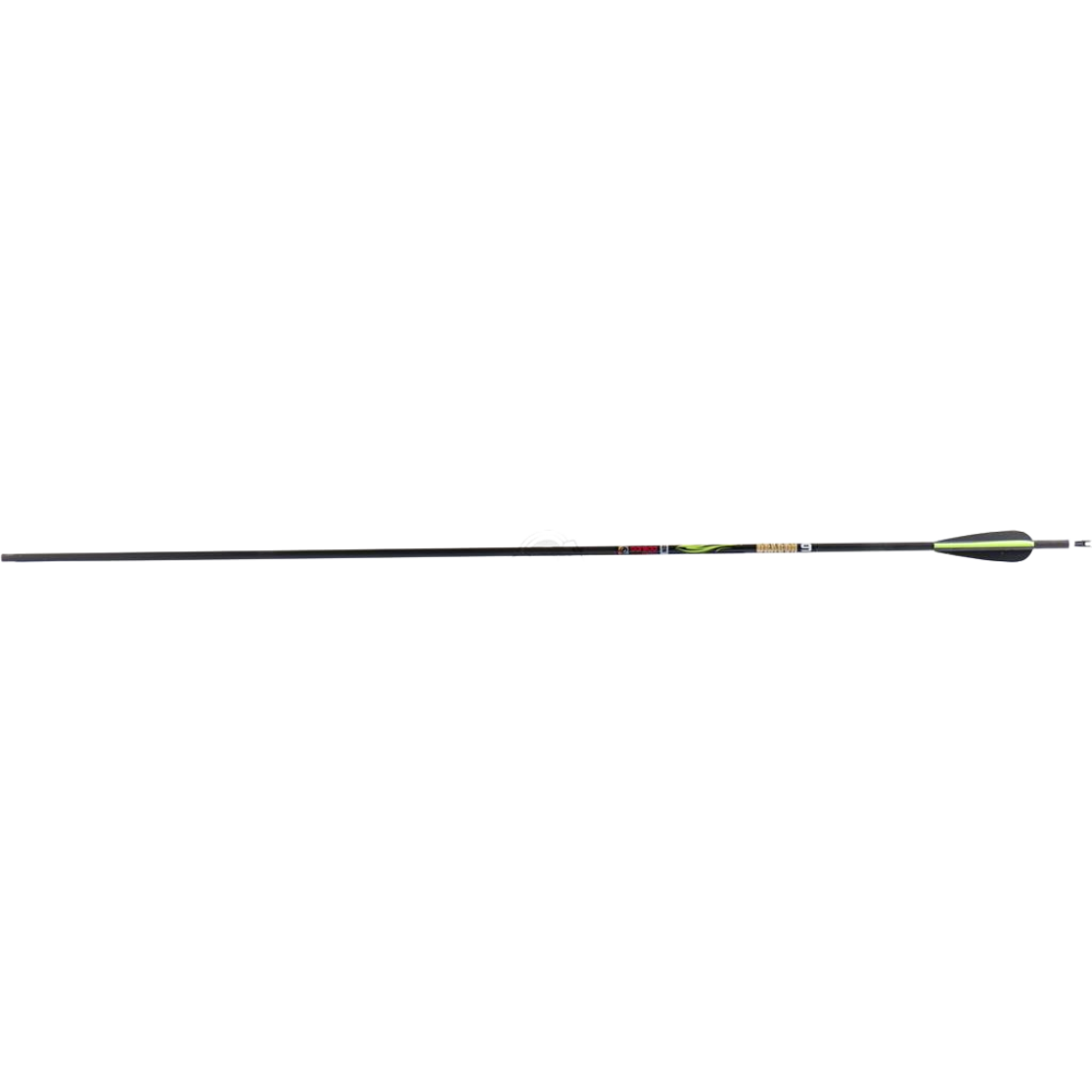 Sanlida Dragon 9 Carbon Arrows